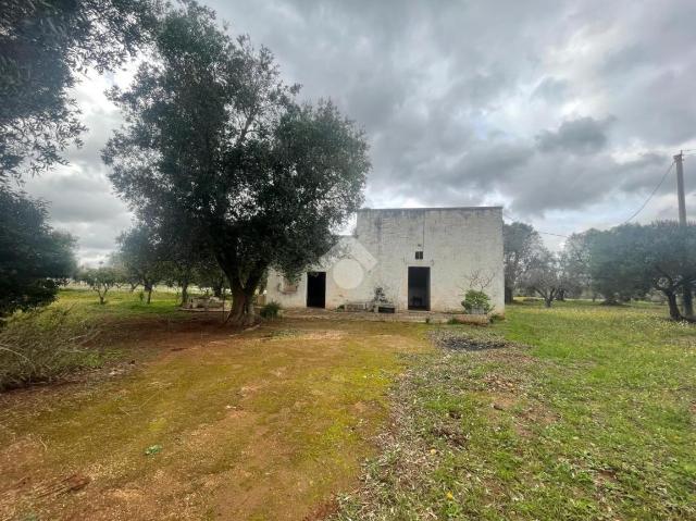 Casa indipendente, Ostuni - Foto 1