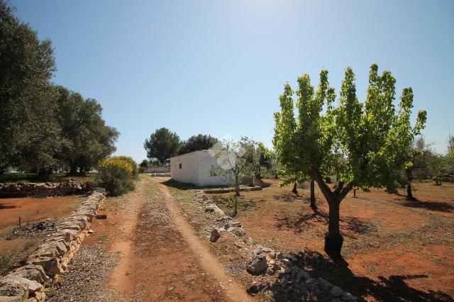 Casa indipendente, Ostuni - Foto 1