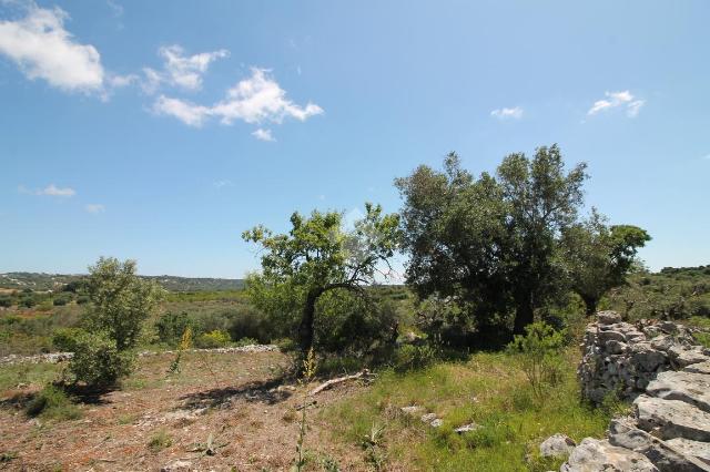 Einfamilienhaus, Ostuni - Foto 1