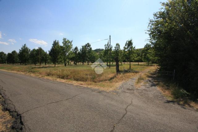 Agricultural land in Via Campadio, Valsamoggia - Photo 1