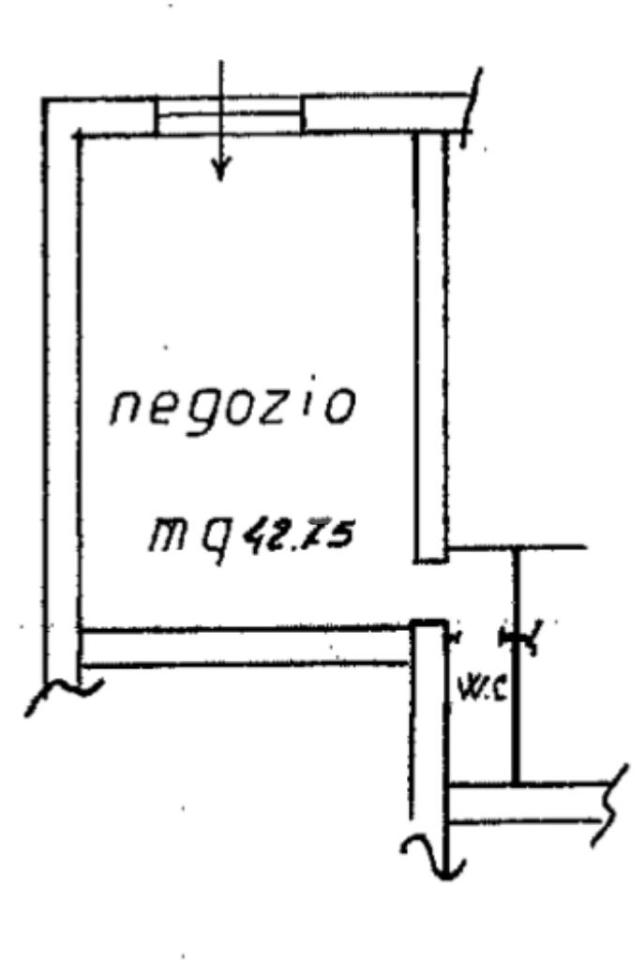 Negozio in Via Nettunense Km 4600, Castel Gandolfo, {3} - Planimetria 1