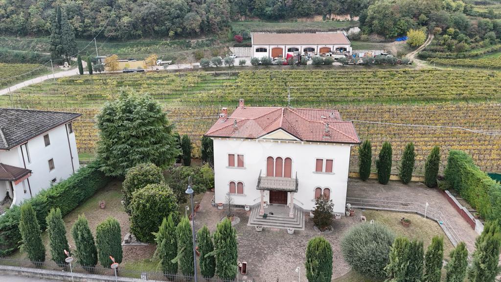 Villa in vendita a Lavagno