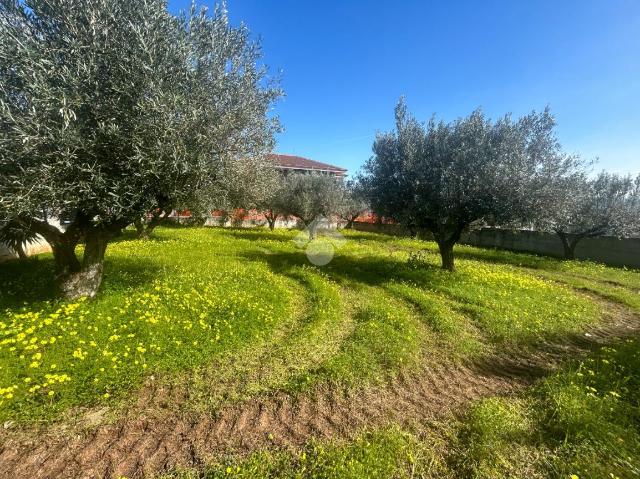 Terreno edificabile in Localita Prunia, Lamezia Terme - Foto 1