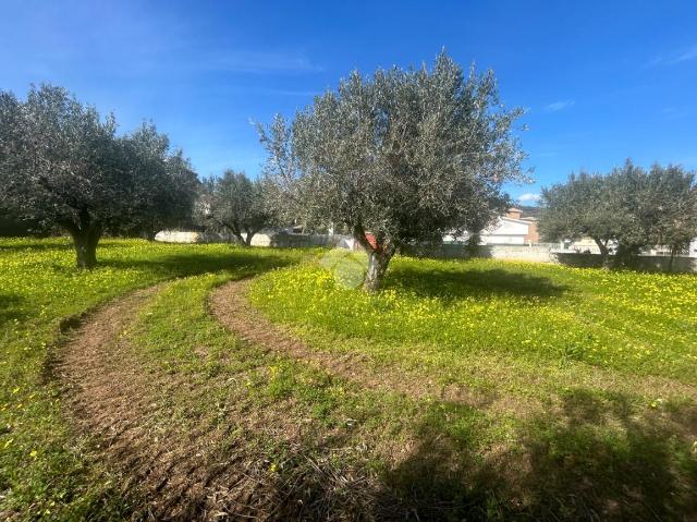 Terreno edificabile in Località Prunia, Lamezia Terme - Foto 1