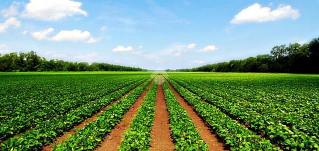 Terreno agricolo, Padova - Foto 1