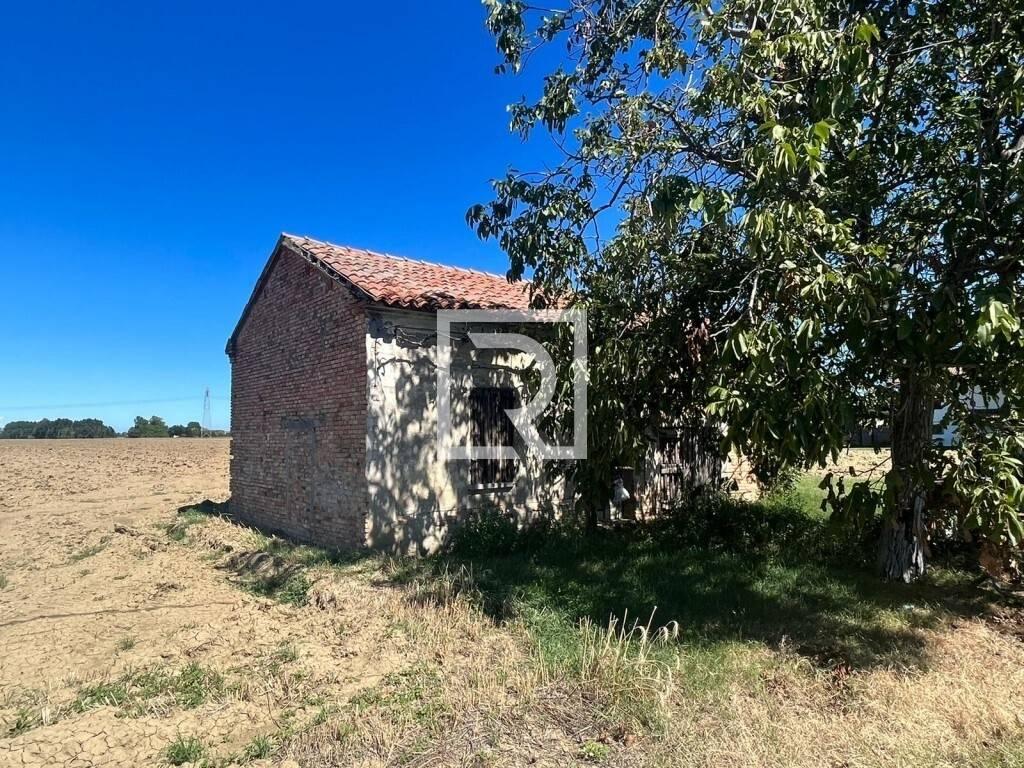 immagine annuncio 3 di 13
