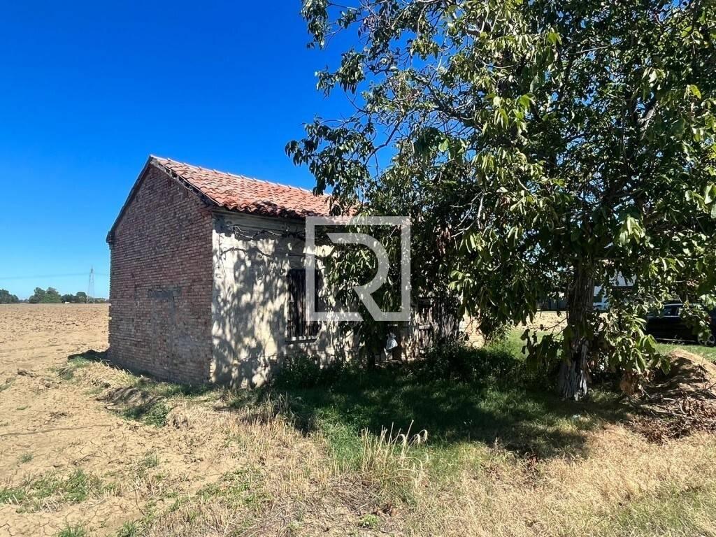 immagine annuncio 12 di 13