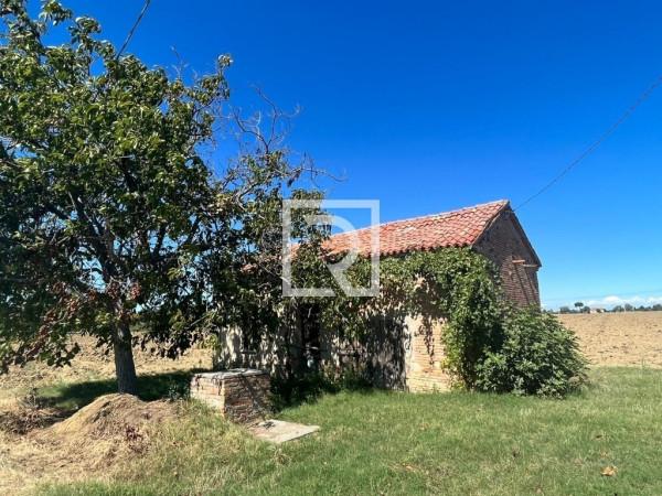 immagine annuncio 10 di 13