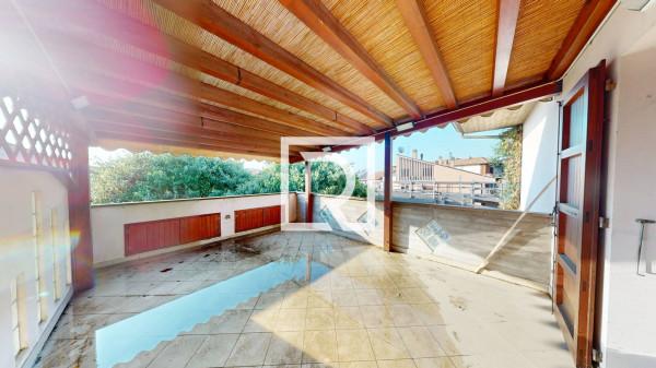 immagine annuncio 6 di 14