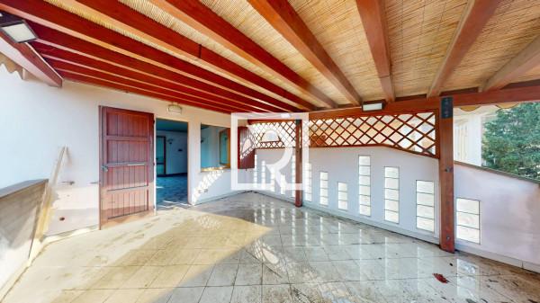 immagine annuncio 7 di 14