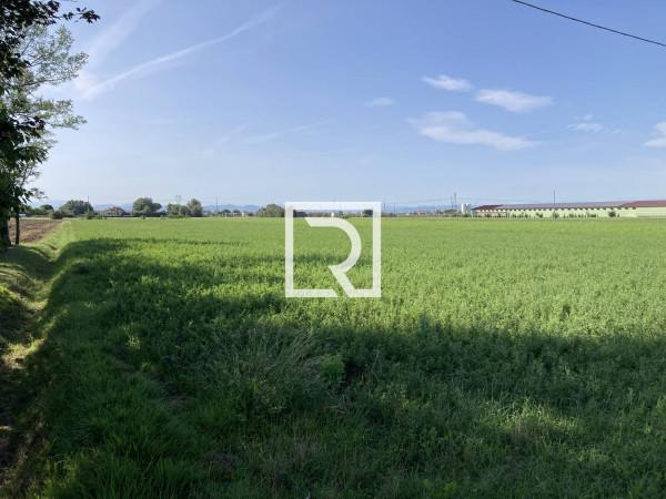 immagine annuncio 3 di 9