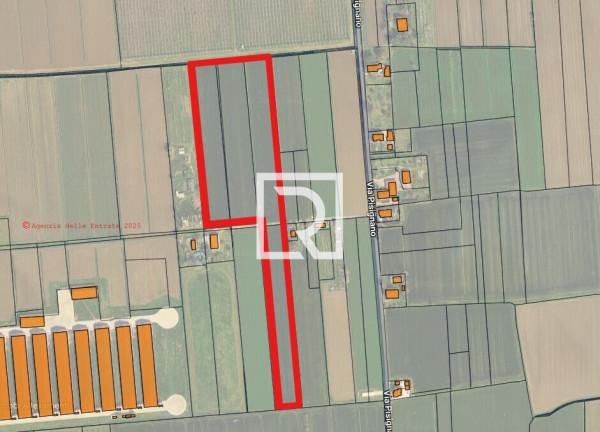 immagine annuncio 5 di 9