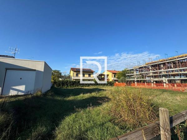 immagine annuncio 6 di 14