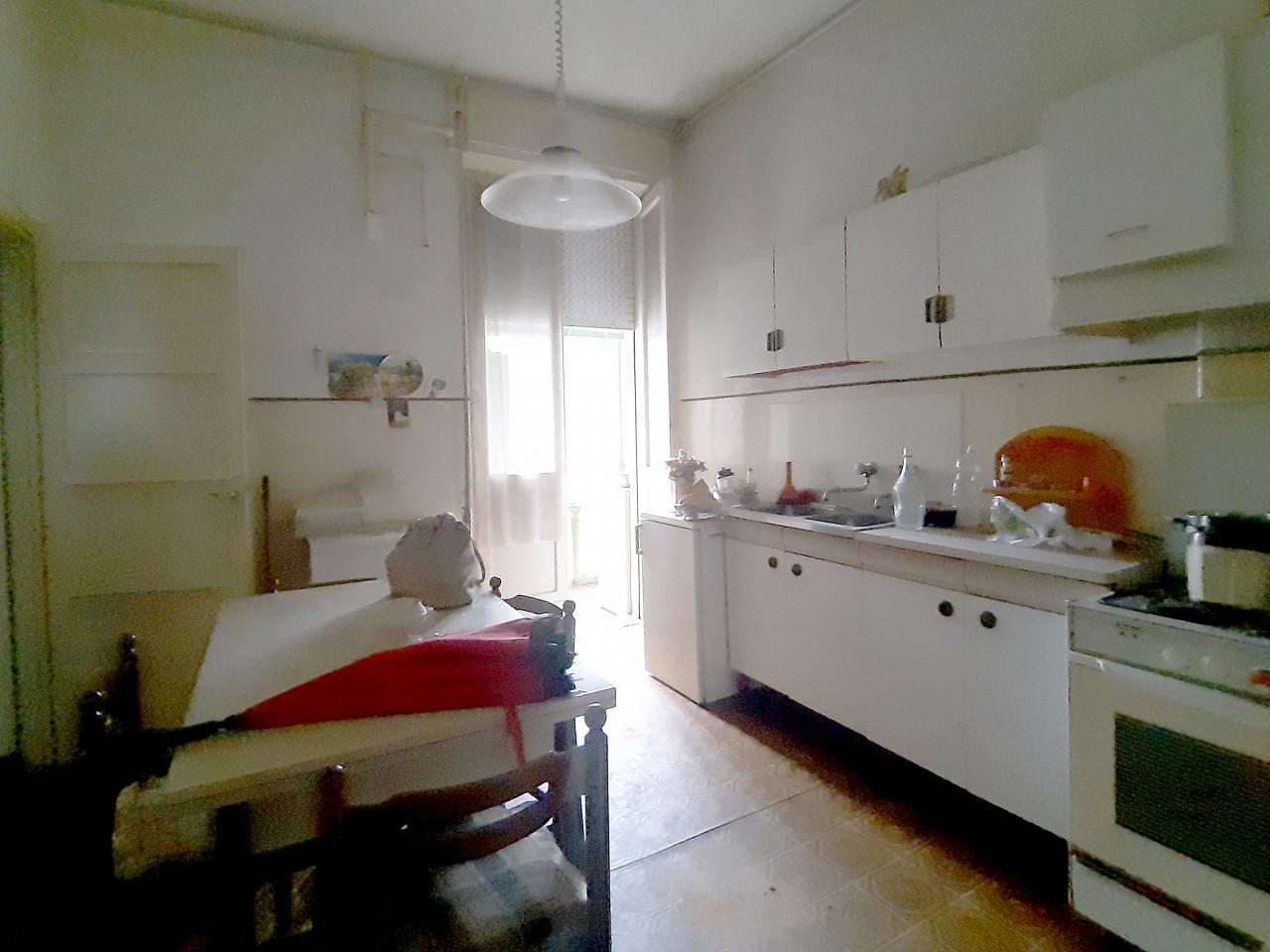immagine annuncio 2 di 8
