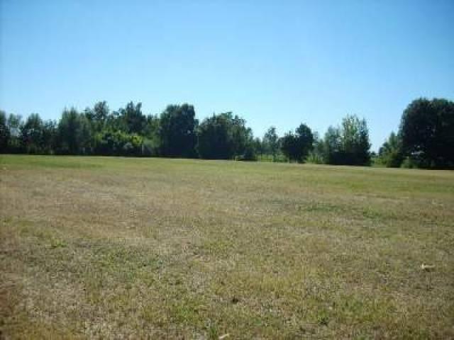 Agricultural land in Via Cà Rossa, Castelfranco Veneto - Photo 1