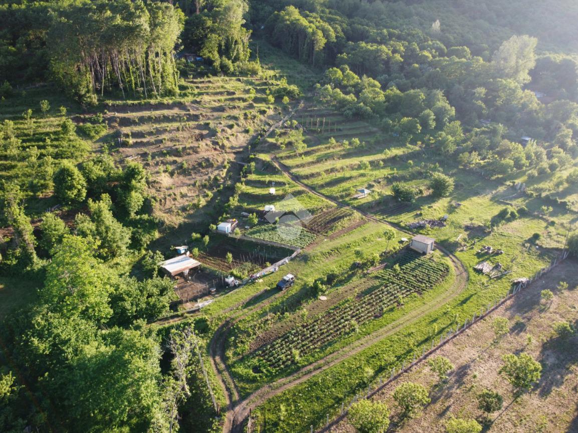 Terreno agricolo in vendita a Cervinara