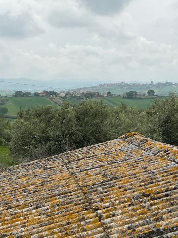 Detached house in Strada del Buzzo, Senigallia - Photo 1