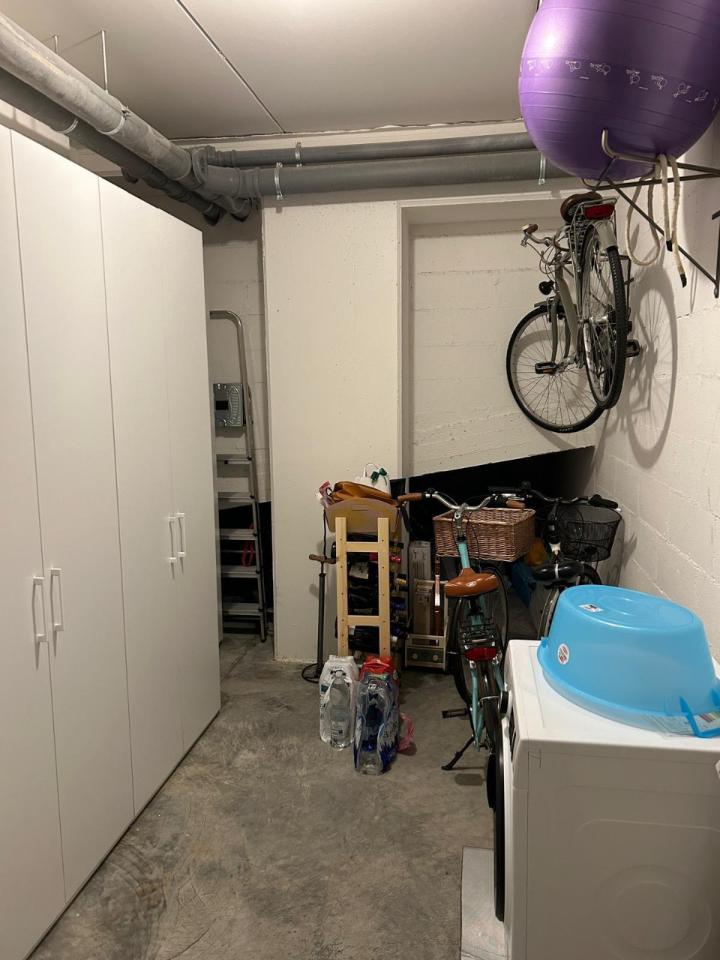 immagine annuncio 12 di 15