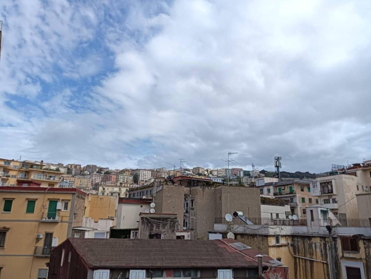 immagine annuncio 1 di 14
