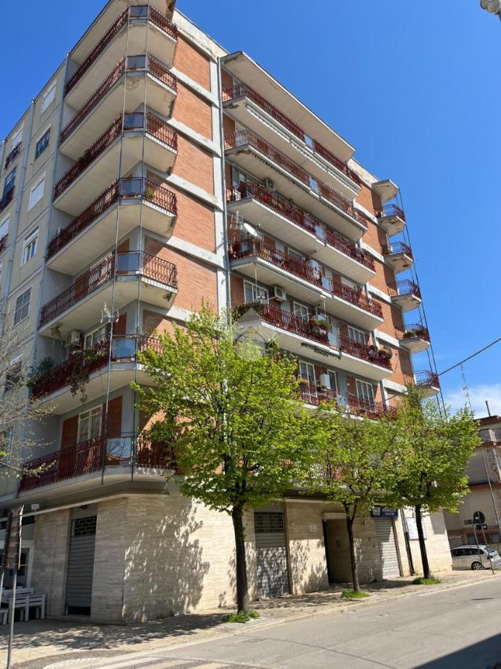 Appartamento in vendita a San Ferdinando Di Puglia