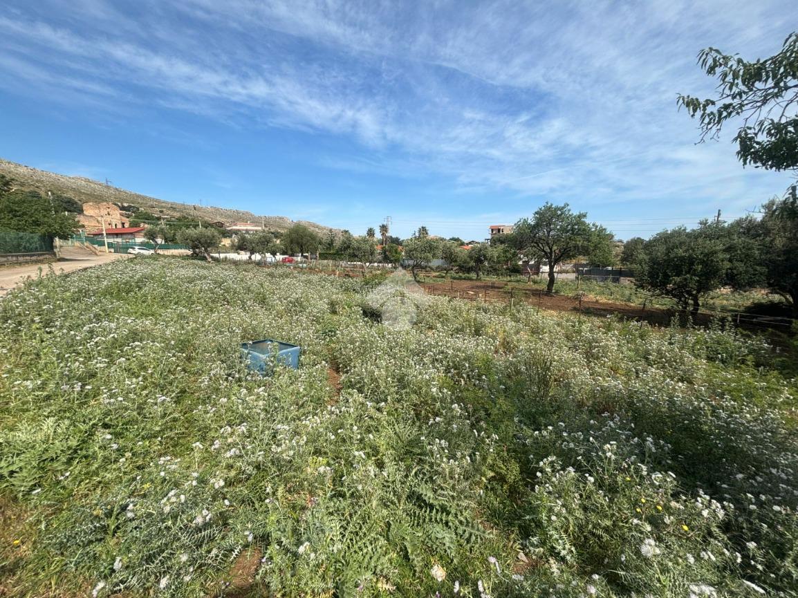 Terreno agricolo in vendita a Palermo