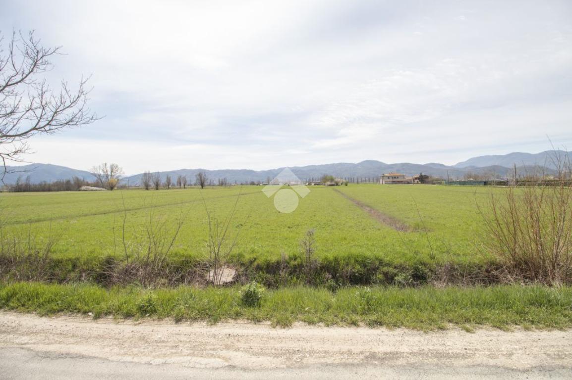 Terreno agricolo in vendita a Rieti