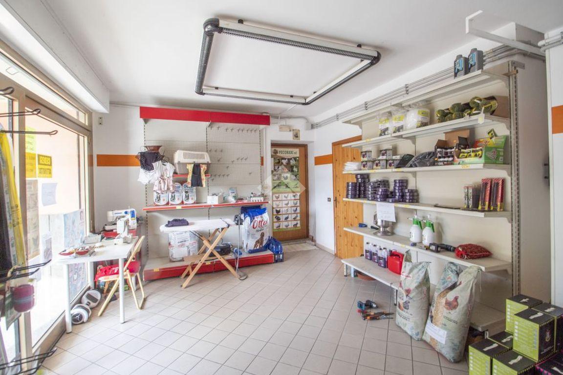 Negozio in Via Gran Sasso 22, Borgo Velino, {3} - Foto 2
