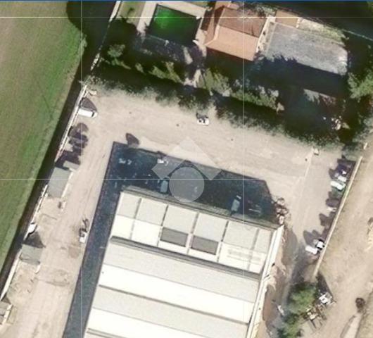 insertion image