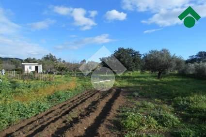 Terreno agricolo in vendita a Villasimius