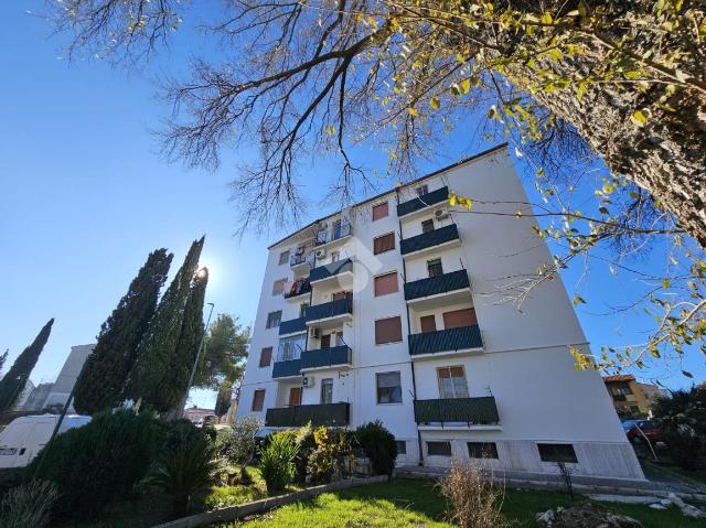 3-room flat in Viale Giuseppe Zanardelli 1, Matera - Photo 1