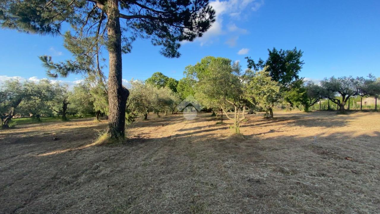 Terreno edificabile in vendita a San Cesareo