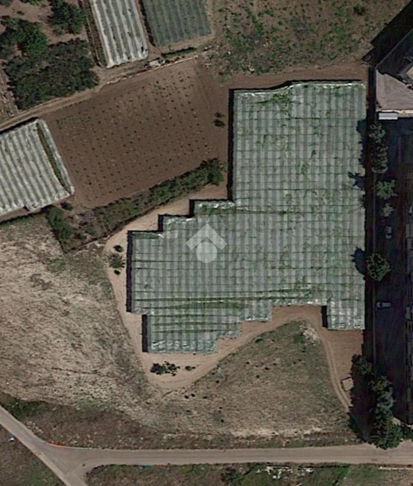 Terreno agricolo in vendita a Noicattaro