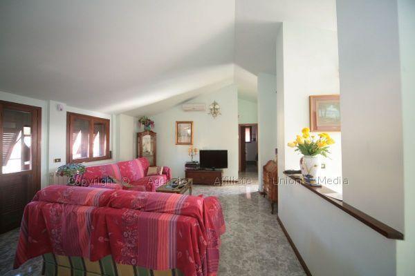 immagine annuncio 3 di 14