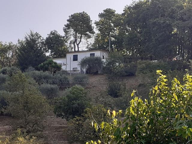 Detached house, Arcola - Photo 1