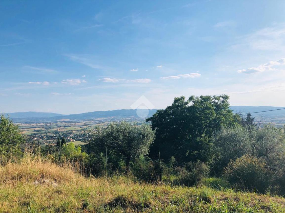 Terreno edificabile in vendita a Assisi