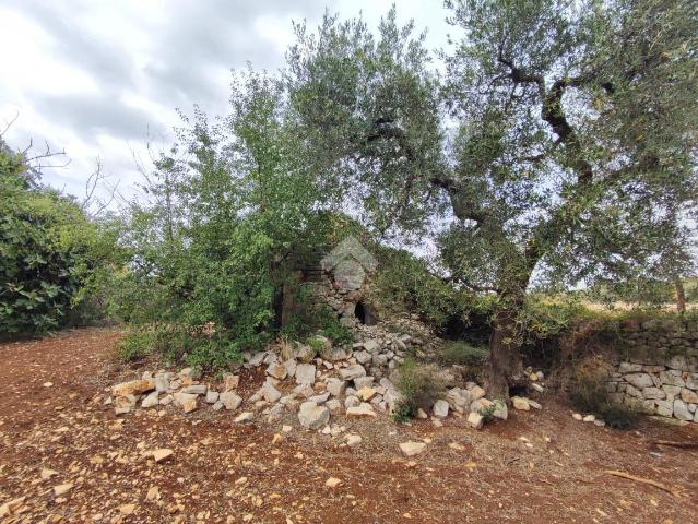 Terreno agricolo in Contrada Montaltino, Polignano a Mare - Foto 1