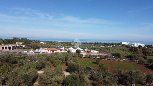 Villa in Strada Comunale Foggia Notarnicola 1405, Polignano a Mare - Foto 1