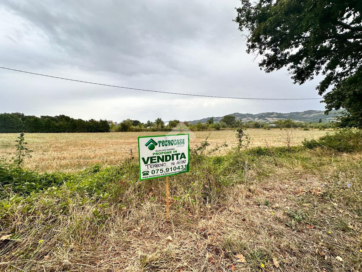 Terreno agricolo in vendita a Gualdo Tadino