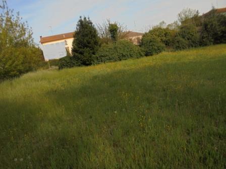 Magazzino in , Riva del Po, {3} - Foto 2