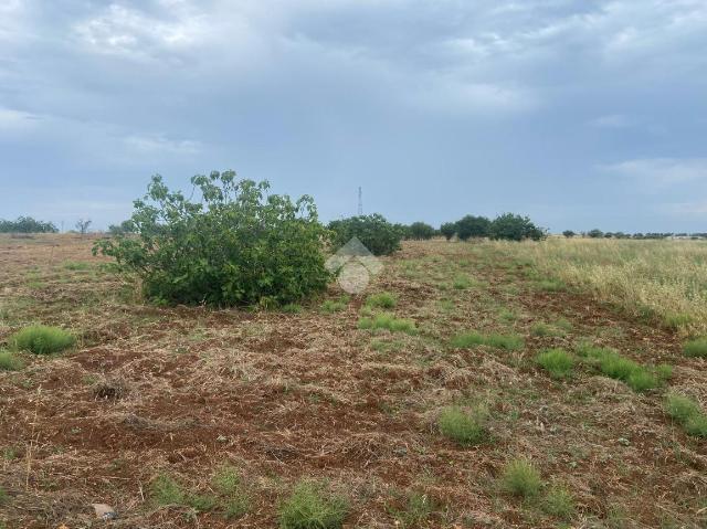 Terreno edificabile in {3}, Contrada Serranova - Foto 1