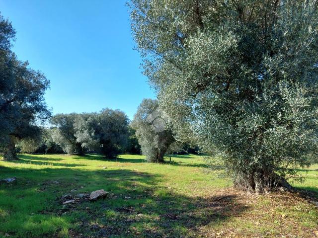 Building land in {3}, Contrada Maresca - Photo 1