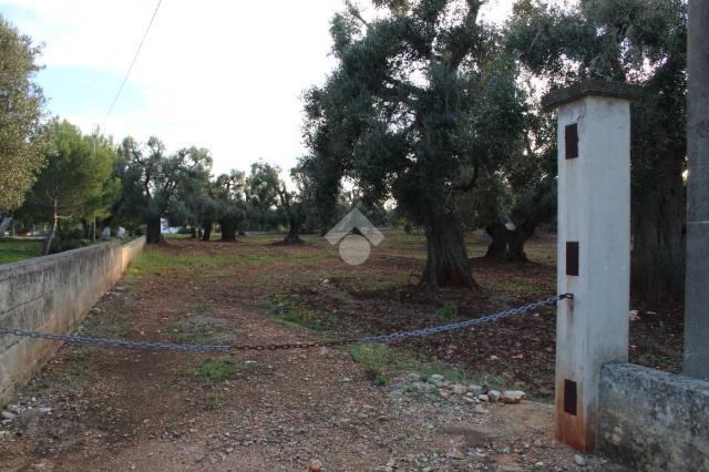 Terreno edificabile in {3}, Contrada Belvedere - Foto 1