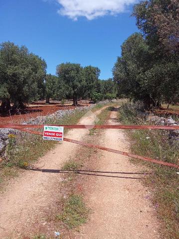 Terreno edificabile in {3}, Contrada Belvedere - Foto 1