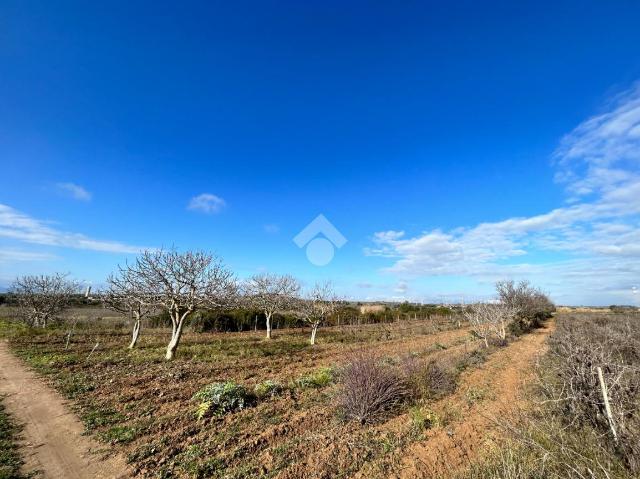 Agricultural land in Loc Staineddu, Selargius - Photo 1