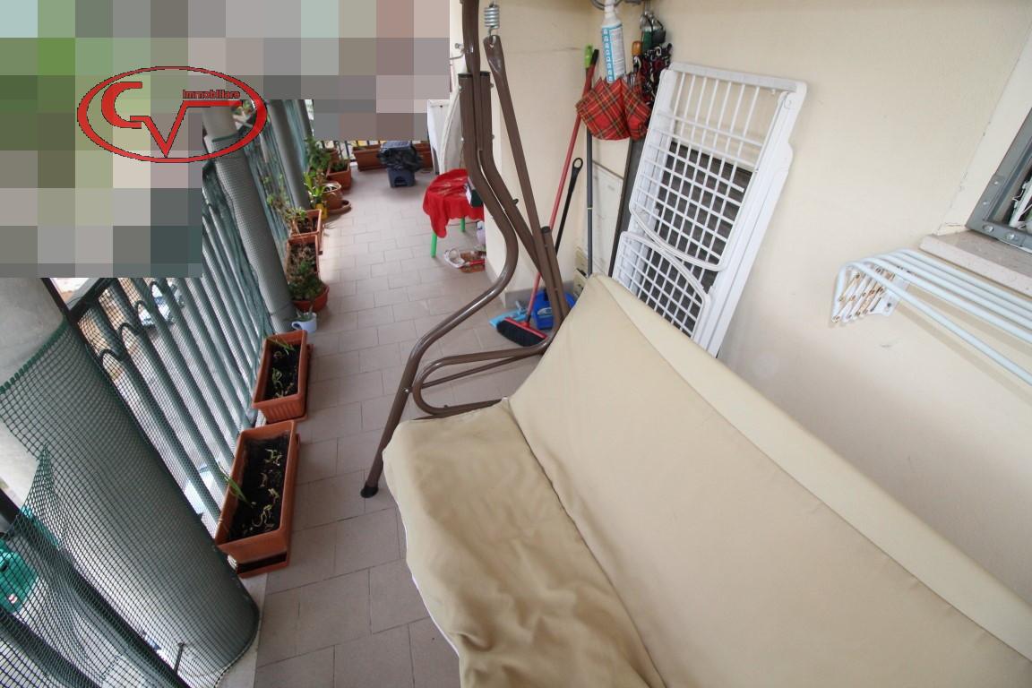 immagine annuncio 5 di 14
