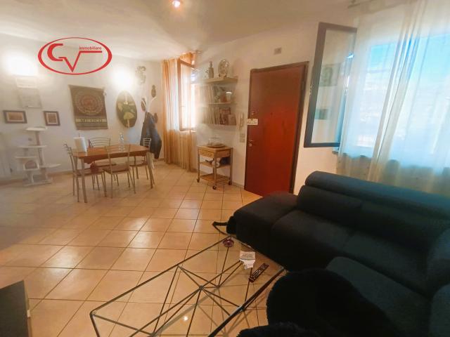 insertion image
