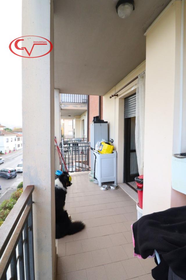 immagine annuncio 6 di 14