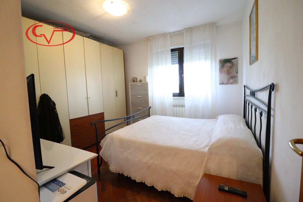 immagine annuncio 9 di 14