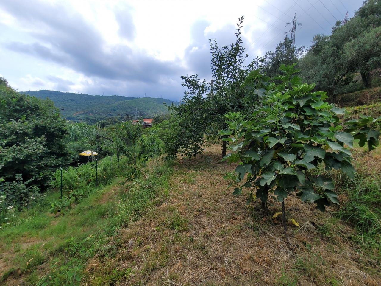 immagine annuncio 4 di 11