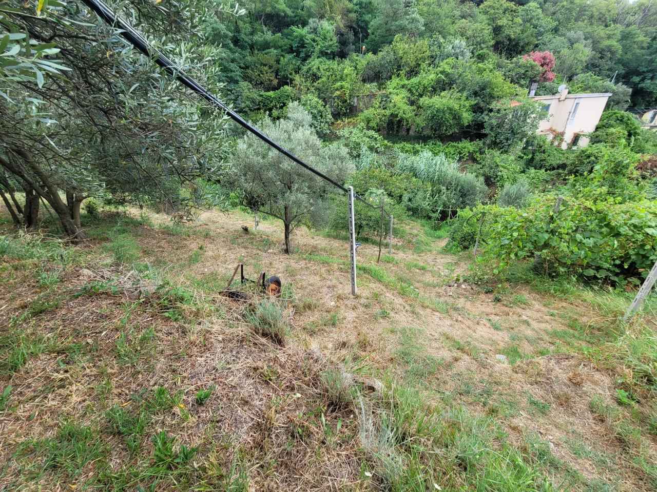 immagine annuncio 9 di 11